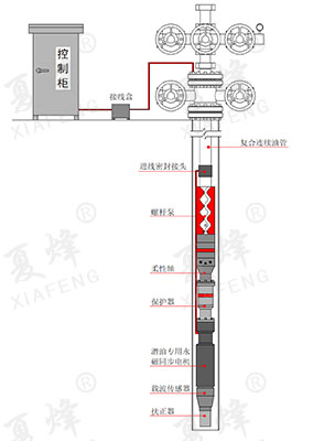 投撈電纜螺桿泵裝置